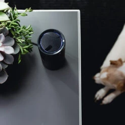 CleanLight Air UV Air Purifier By KeySmart -Multifunctional Tool Store KS917 CleanLight Air Purifier in Your Home