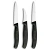 Swiss Classic 3-Piece Chef's Paring Knife Set By Victorinox -Multifunctional Tool Store vf676003x1000