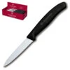 Swiss Classic Paring Knife Display - 2 Dozen 3.25" Serrated Spear Tip Paring Knives By Victorinox - Black Handle (6.7633) -Multifunctional Tool Store vf6763324x1000